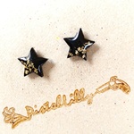 No.7851 送料込♥スターピアス