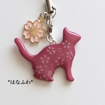 *ネコザクラ（猫と桜）