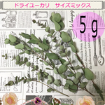ドライユーカリ「５ｇ」