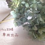 itsc88様専用出品
