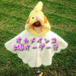オカメインコのふわもこケープ ルチノー K様オーダー品