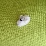 仲良しうとうとbabyペンギン&アザラシ 羊毛フェルト