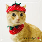 送料無料☆彡なりきり苺♡いちごのコスプレ風〜猫の首輪