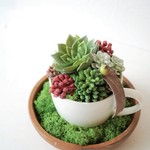 フェイク多肉植物のミニコーヒーカップ　寄せ植アレンジ