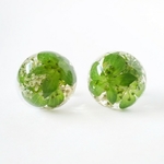 ブプレリウムとレースフラワーのお花のピアス-natural flower pierce-
