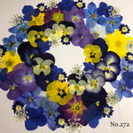 ♡new♡ 送料無料！¥1450 ♡たっぷり押し花セット♡