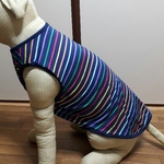 大型犬服ネイビー&レインボーボーダー