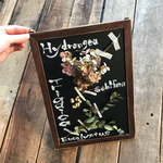 植物標本風 インテリア額 ドライフラワー ユーカリ カフェ風