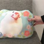 白文鳥クッション  Mサイズ
