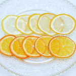 《送料無料》押しフルーツ 押し花 柑橘セット②