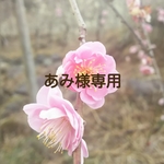 ☆あみ様専用です☆