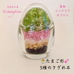 🐣たまご形💕天然石さざれ石Mix/インテリア・置物・浄化に🎀    