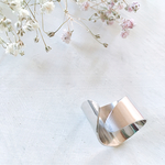 silver Ajustement