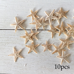 ［10個］1cm ミニ スターフィッシュ 