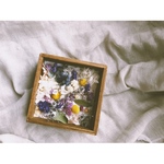 ⚪︎香りが選べる⚪︎ワックスボックス+.*.｡.｡*ﾟ+.壁掛けタイプ/candlemimosa