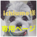 ichiume様専用ページ