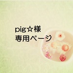 pig☆様専用ページ