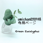 umichan0209様専用ページ