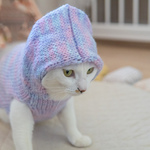 【オーダー品】手編み　セータペット服（はるかぜパーカー：パープル）