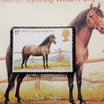 イギリス　馬切手ブローチ（ポストカード付）3409