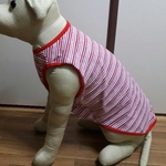 大型犬服赤ボーダー
