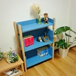 A display shelf