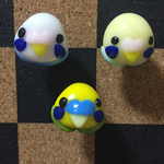 セキセイインコのプッシュピン