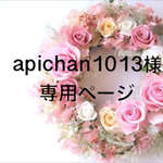 apichan1013様専用ページ