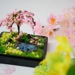 「早咲き枝垂れ桜に春恋し」B　ミニチュア箱庭風　クリアカバー付き