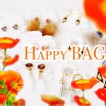 Happy BAG イヤリング❇︎2000
