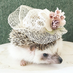 【受注生産】 小動物用帽子 シースルー麦わら帽子  ピンク