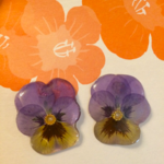 押し花ピアス【青系ビオラ】