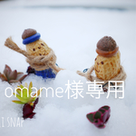 omame様専用オーダーヘチマのカラフルガーランド(*´∪`)