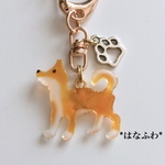 【l 様専用】*柴犬くんと肉球キーホルダー