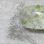 かすみ草　カスミ草　プリザーブド　シルバー　２g
