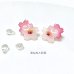 《2way》重ね桜と朝露ピアス／イヤリング