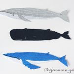 大きいことは、いいこと･･･なのか？！クジラの大～きいワッペン（3種類から必須選択）