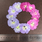 押し花*.・ストックm＊.・