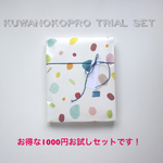 【おじさんふせん付き！】色々お試しセット