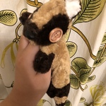 くたくたたぬきさん