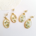 かすみ草押し花＊ピアス