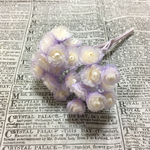 イモーテル×ライトパープルフロート