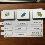[再販3] 分類カードセット