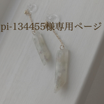 pi-134455様専用ページ