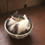 かご猫　くろみつ　⑬