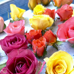 【再販】～スプレーバラで～ドライローズ