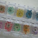 カラフルレースフラワー　ふわっと系　３輪×10色　OR  5輪×10色。。。押花素材