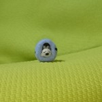 babyペンギンandアザラシinたまごのおうち 羊毛フェルト