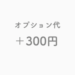 ★オプション代 ＋300円★
