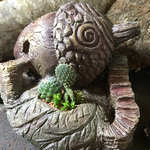 どんぐり モルタルアート 植物ポット